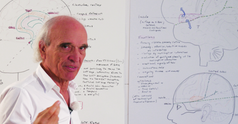 General overview, "brain functional listening" and a complete treatment demonstration after mechanical trauma